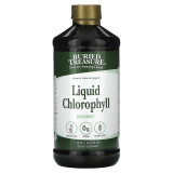 Buried Treasure, Chlorophyll, 496 мл (16 порций)